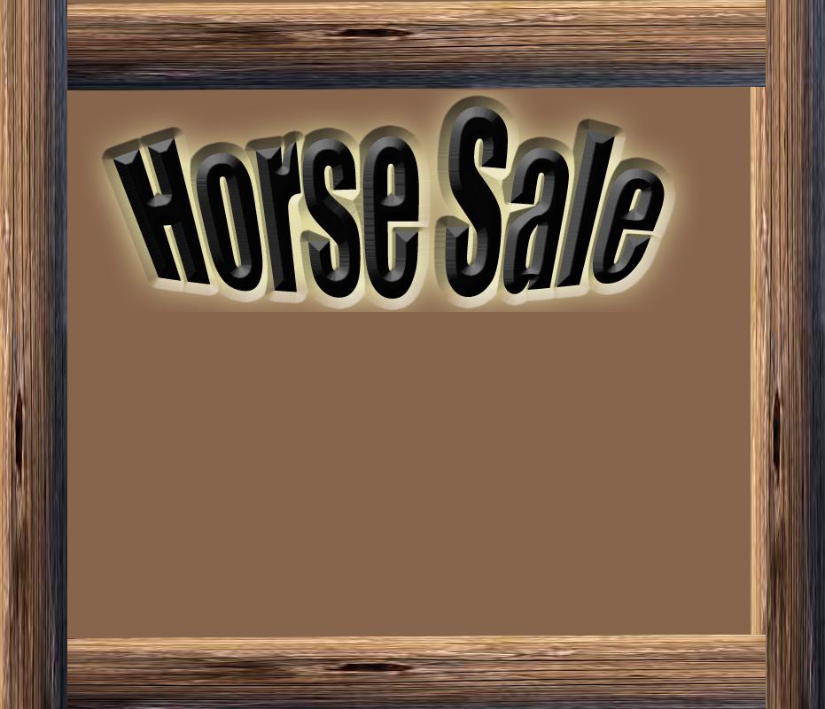 Horse sale